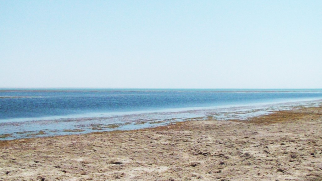 Тудакульское водохранилище фото